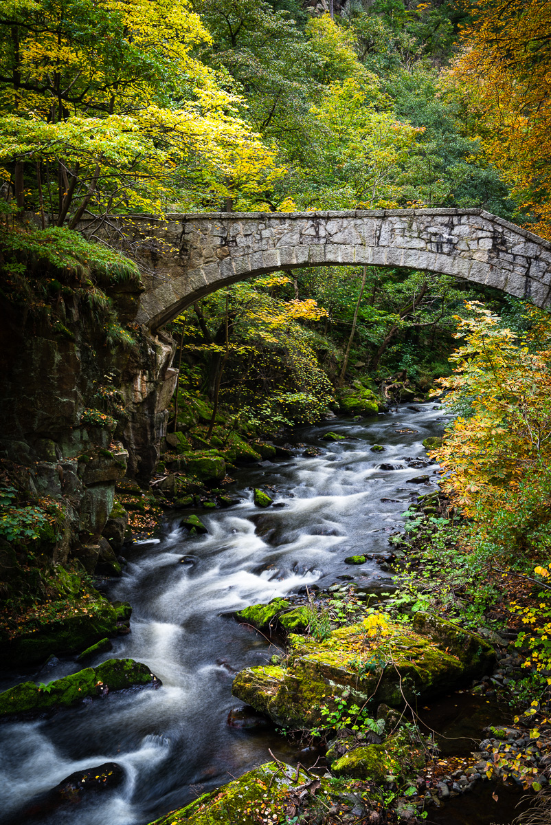 Brücke im Herbst