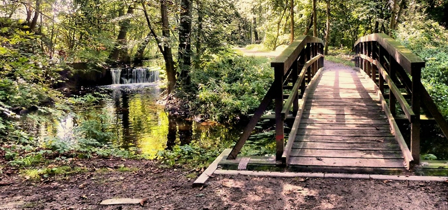 Brücke im Kneippgelände der Burg Bodenteich.jpg