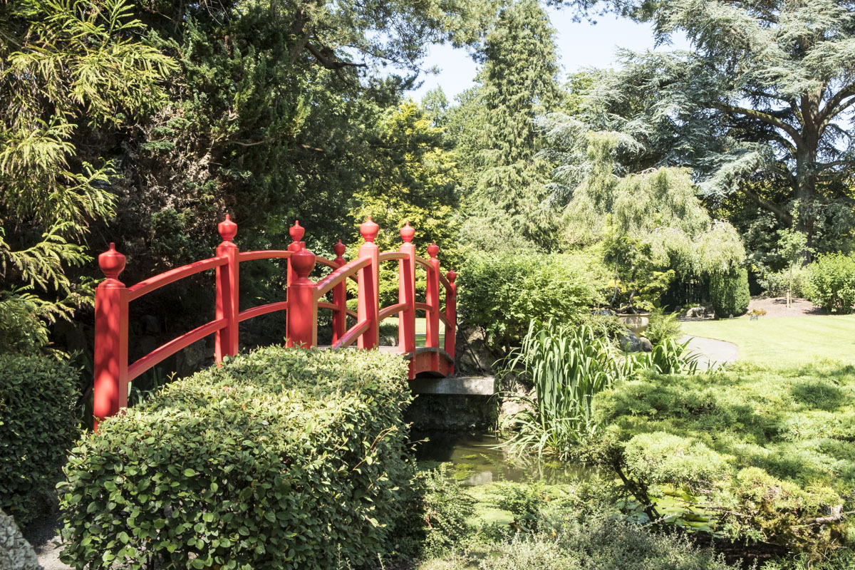 Brücke National Stud