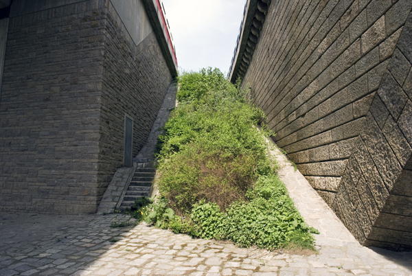 Brücke