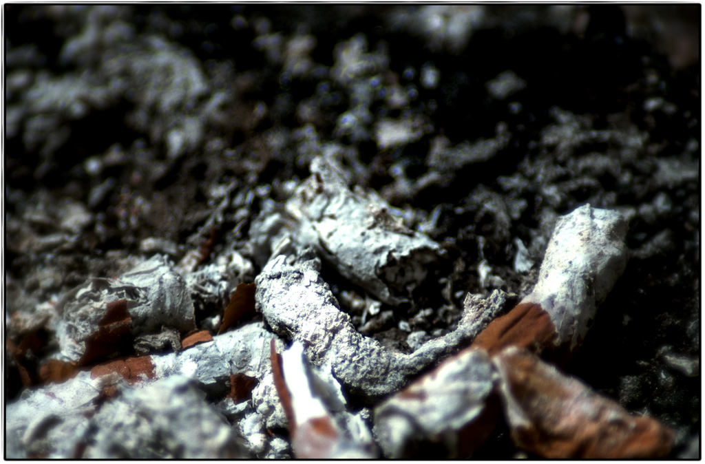 Brand