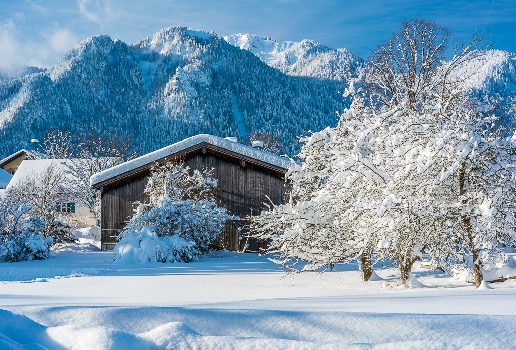 Brauneck Winter