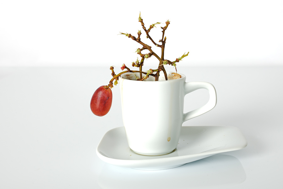 breakfastbonsai 2 001