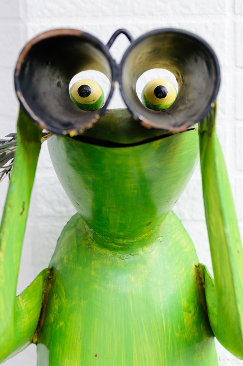 Bremenfrosch, Wuxi & Co.