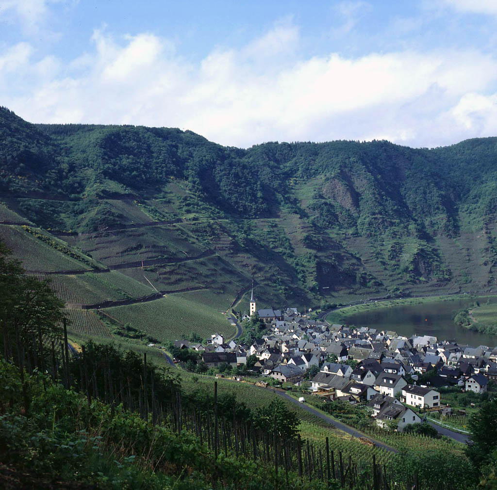 Bremm an der Mosel