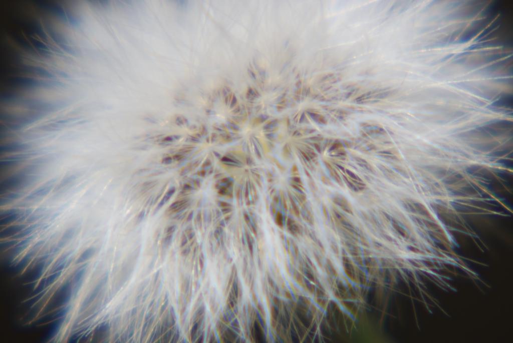 Brennweite: 170 + *1 Macro-Vorsatz
