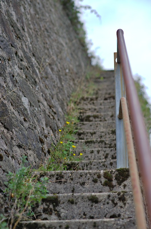 BRH_4762.jpg