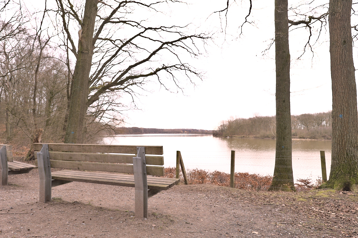 BRH_5270_01.jpg