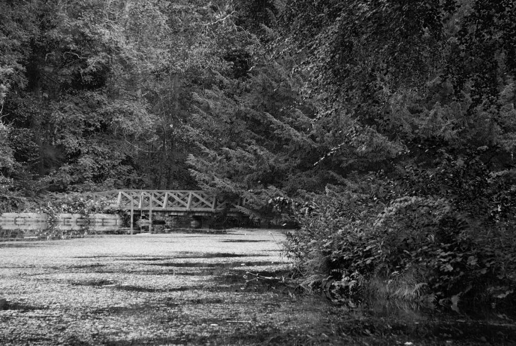 Bridge 191 sw