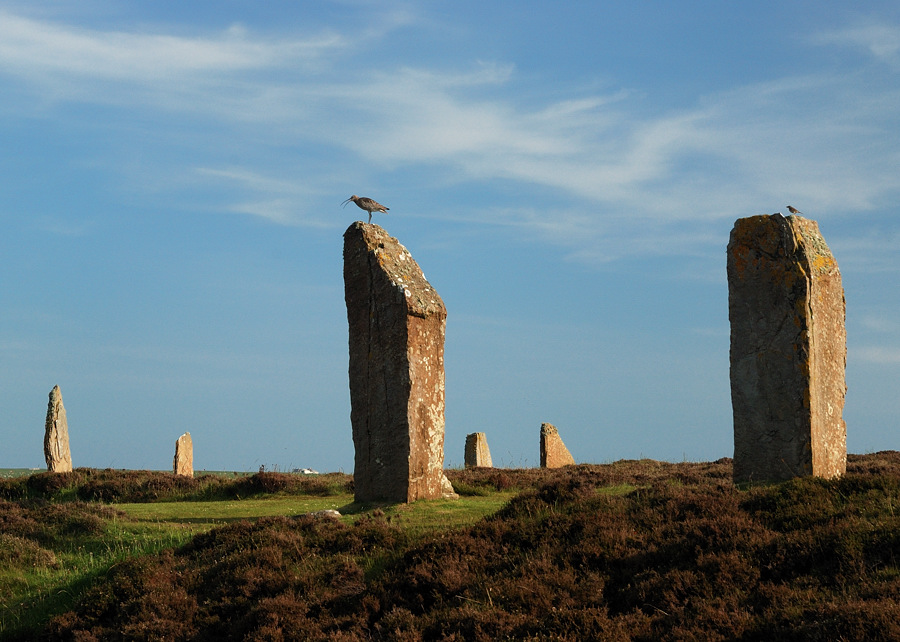 brodgar2