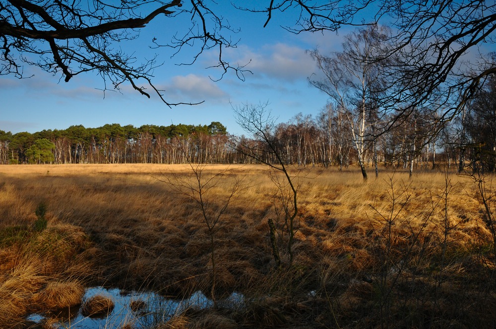 Brook 2014.01