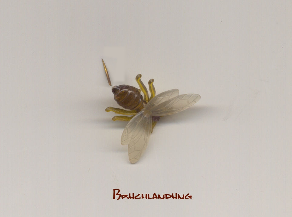 Bruchlandung, Bienenanstecknadel auf Papier.