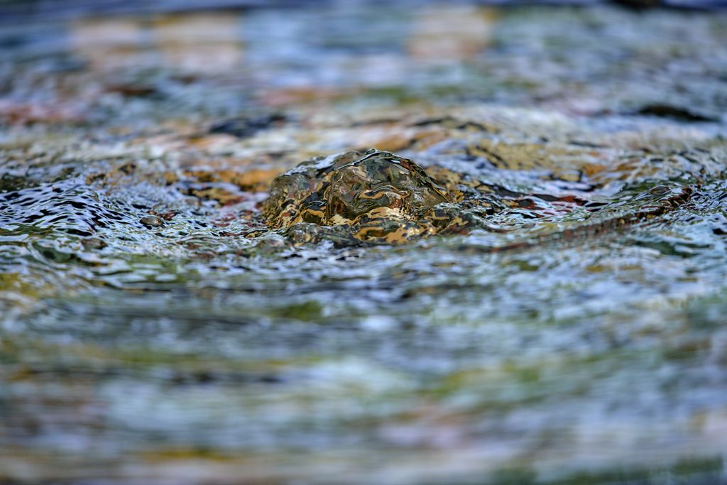Brunnen Botanischer Garten Kassel