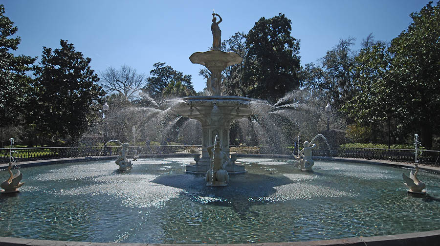 brunnen savannah