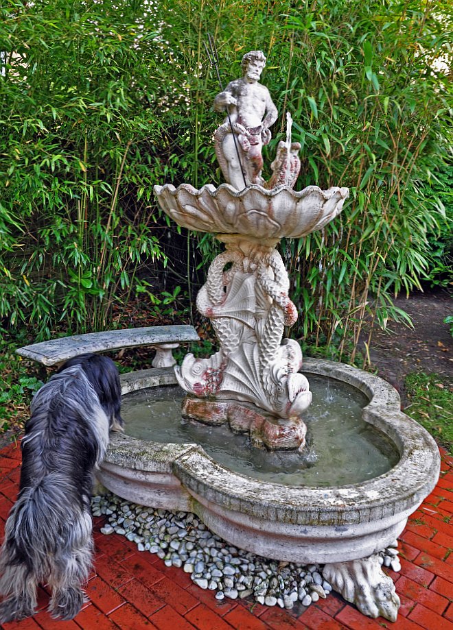 Brunnen