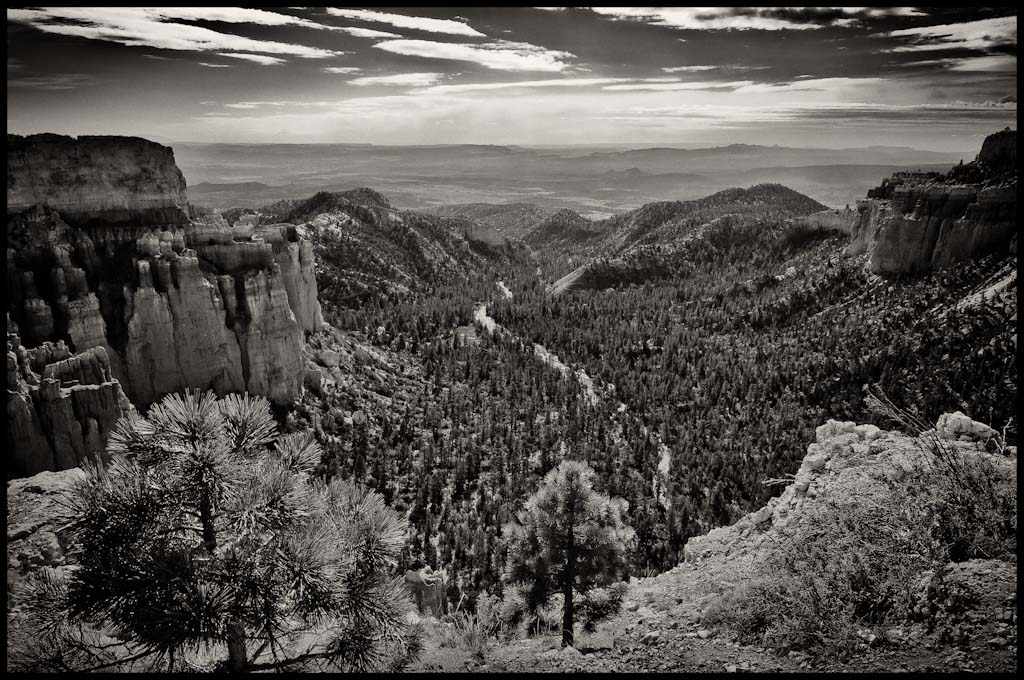 bryce 1
