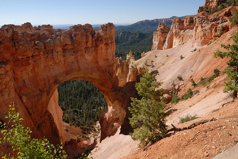 Bryce Canyon   5