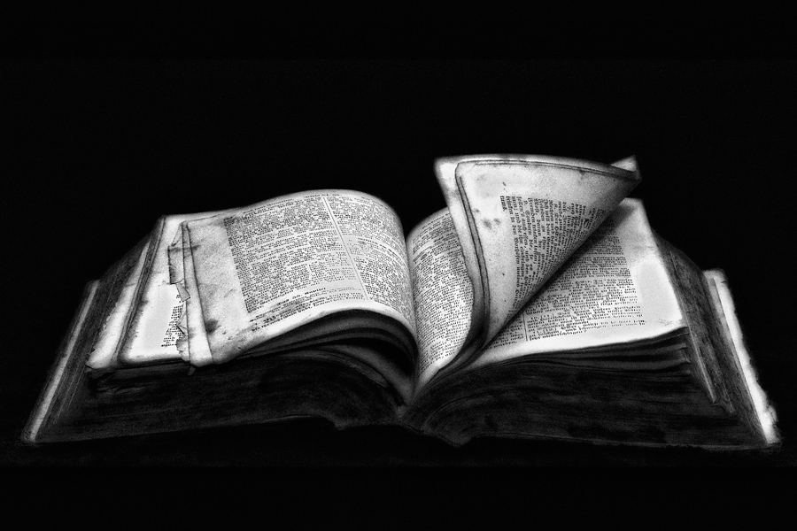 buch 1