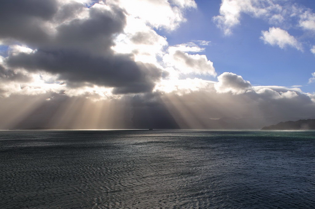 Bucht von Wellington