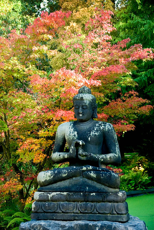 Buddha