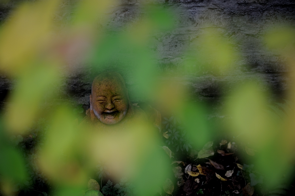 Buddhas Herbst