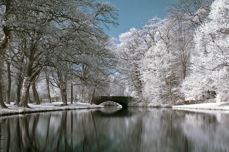 buergerpark IR 5 BY DENNIS S