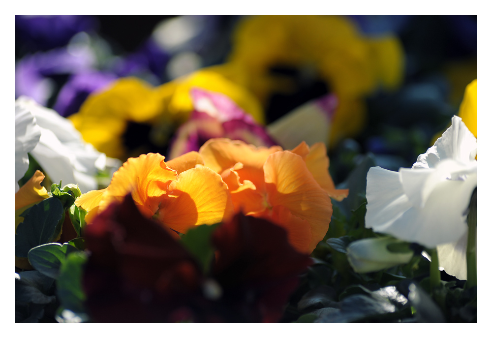 bunt1