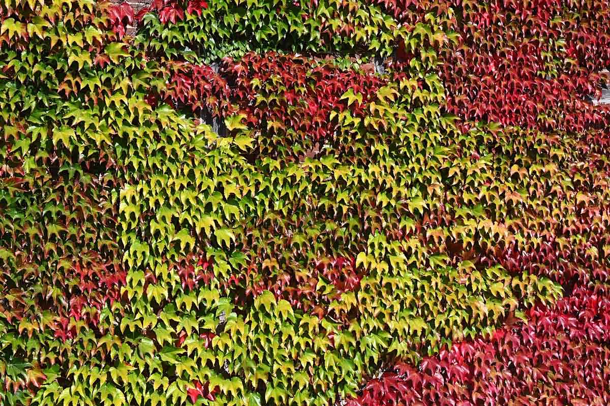Bunte Wand.jpg