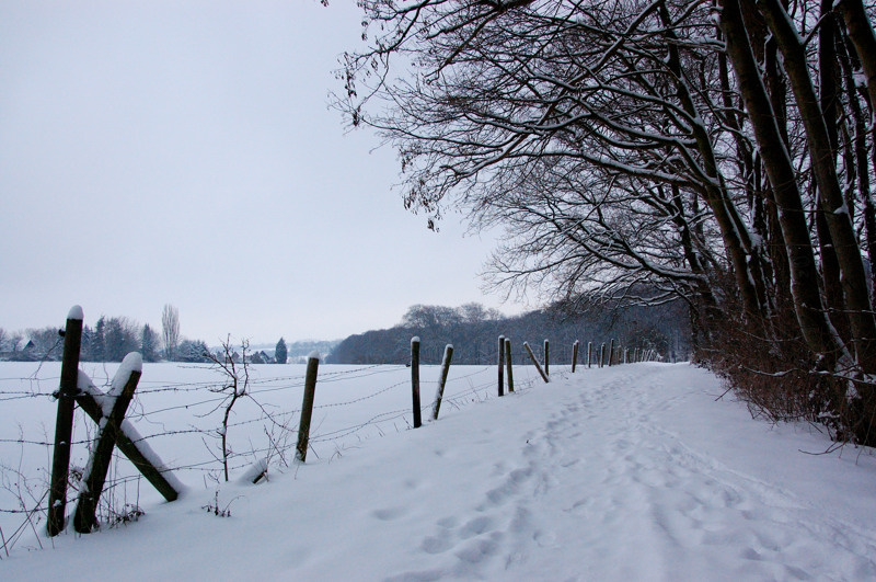 bunter schnee