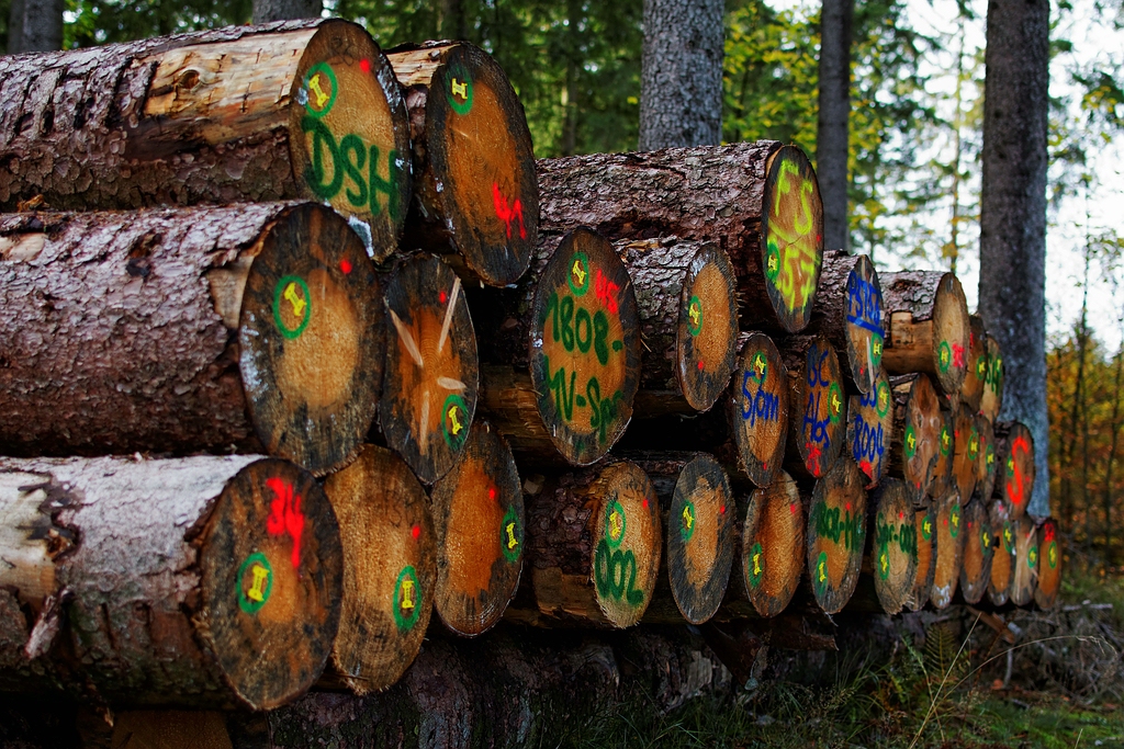 Buntes Holz