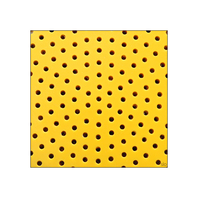 Buntes Leben im Quadrat 036