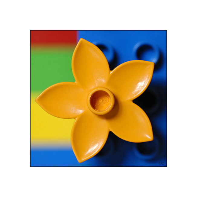 Buntes Leben im Quadrat 039
