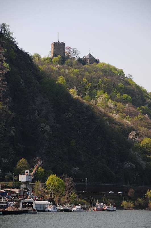 burg rheineck