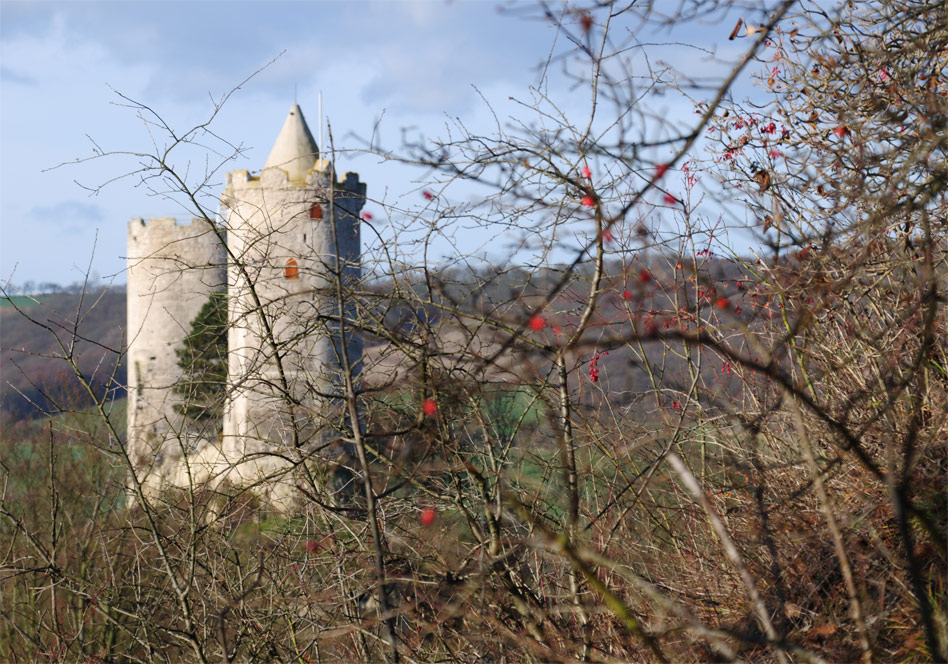 Burg Saaleck