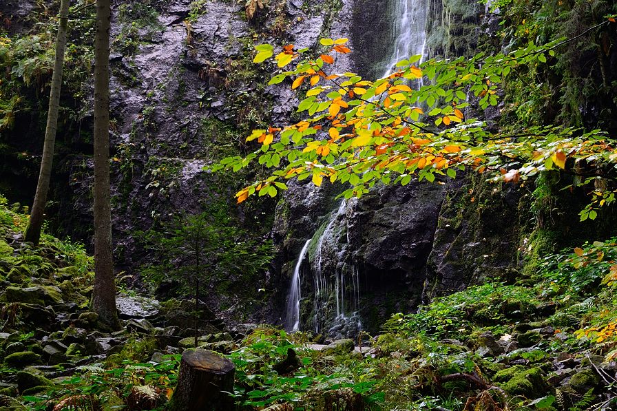 Burgbachwasserfall 2015 16101