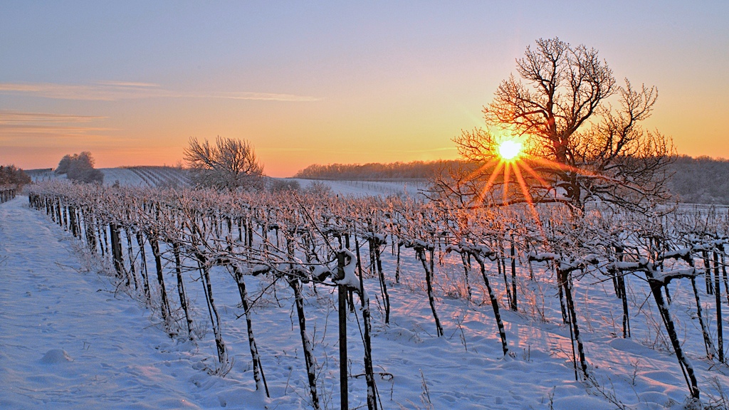 Burgenland Abendsonne