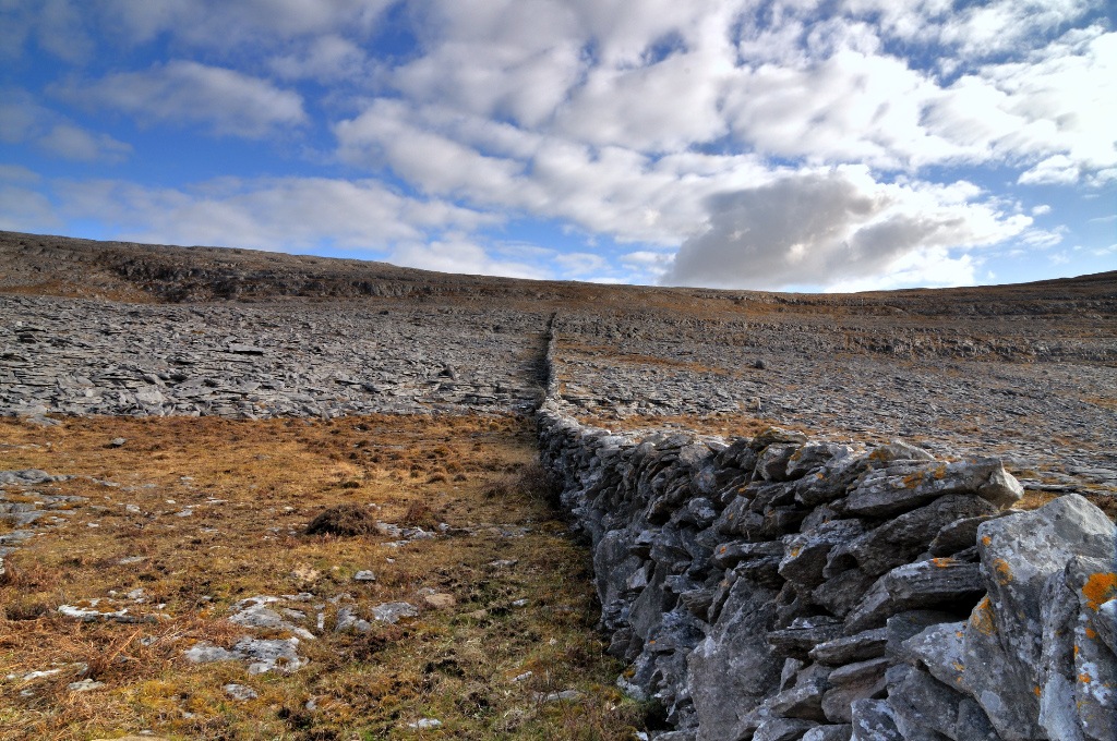 burren0303 edited 1