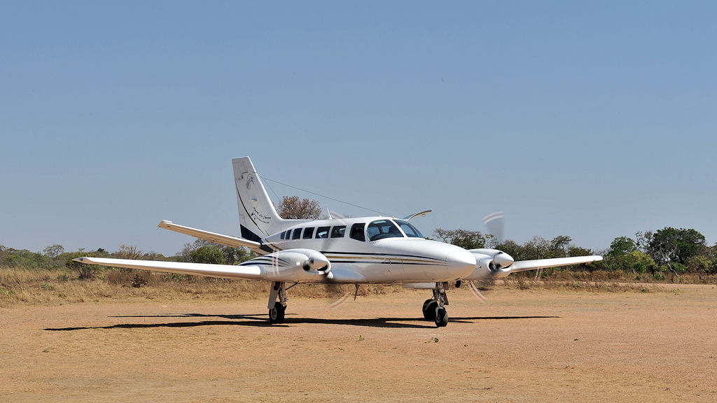 Buschflieger in Lufupa, Kafue
5903