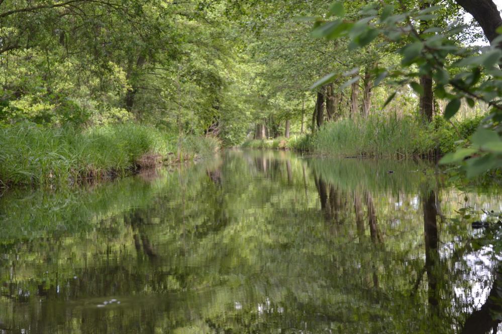 Buschgraben