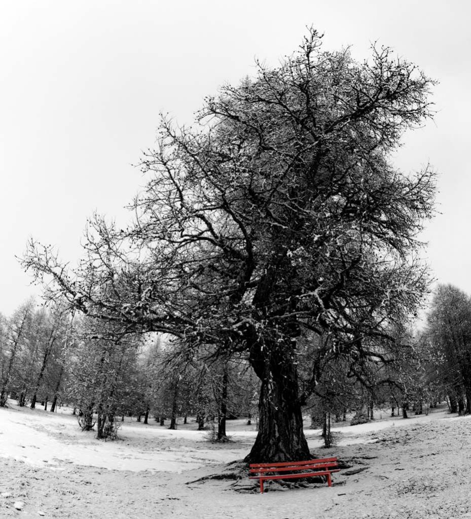 BW roteBank0143 1 forum