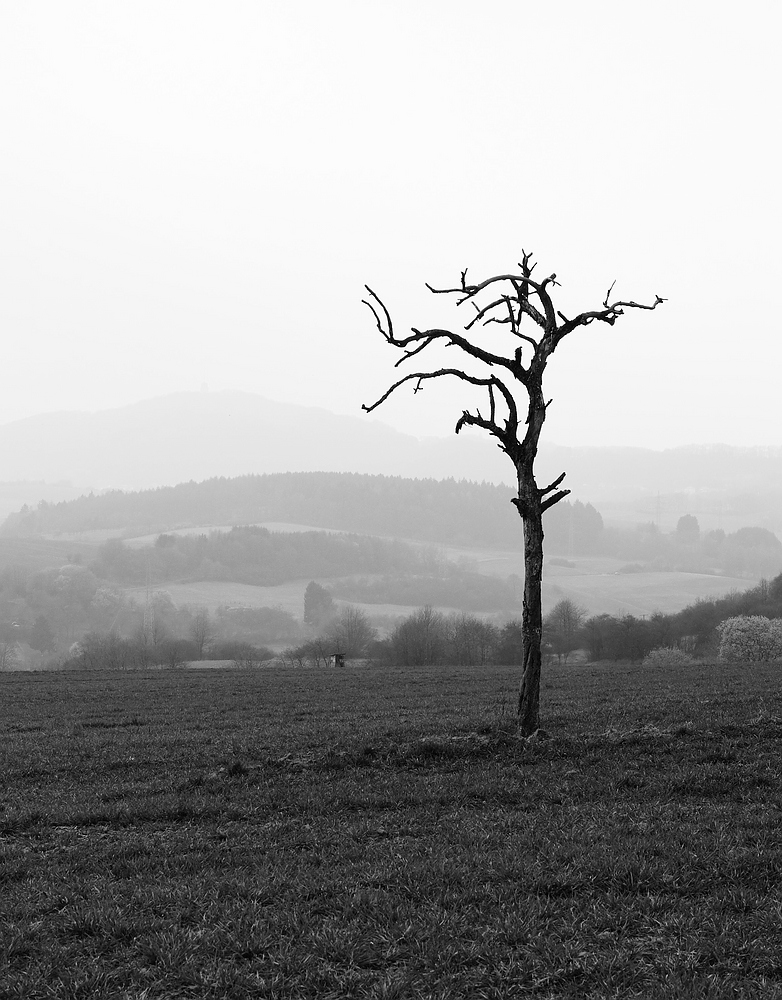 c Abenddunst 4188