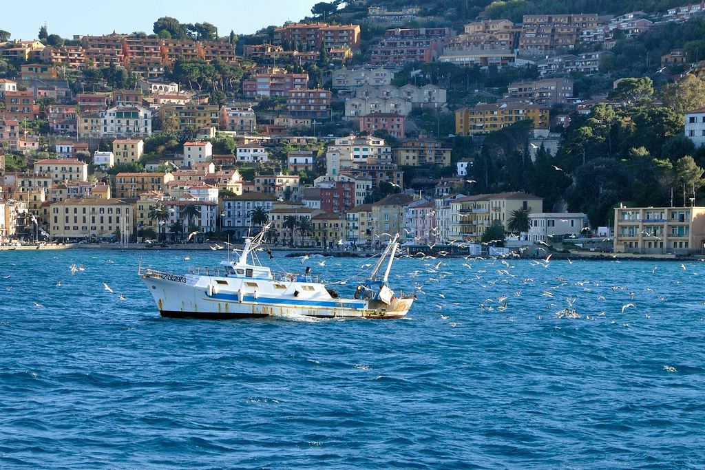 c c DSC 3747 282
