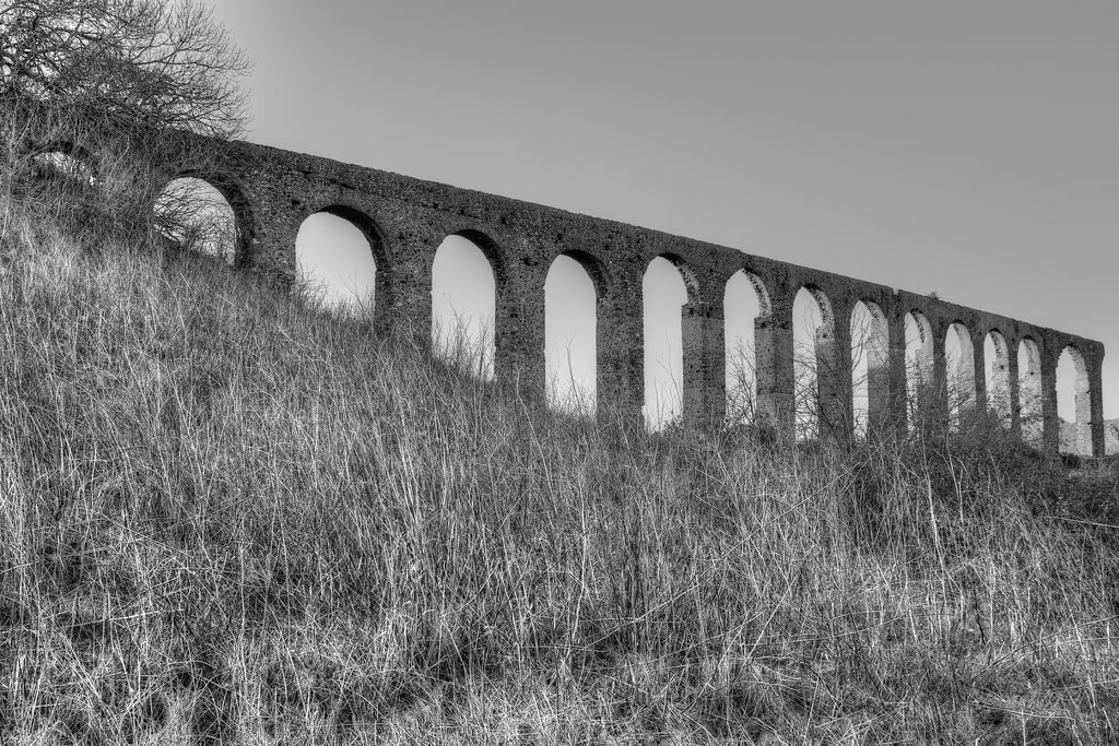 c DSC 1512 176