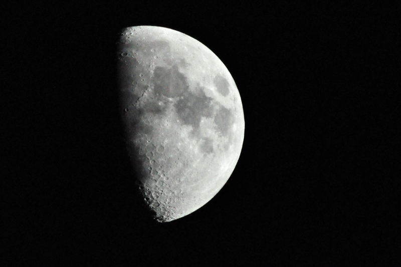 c DSC 2425