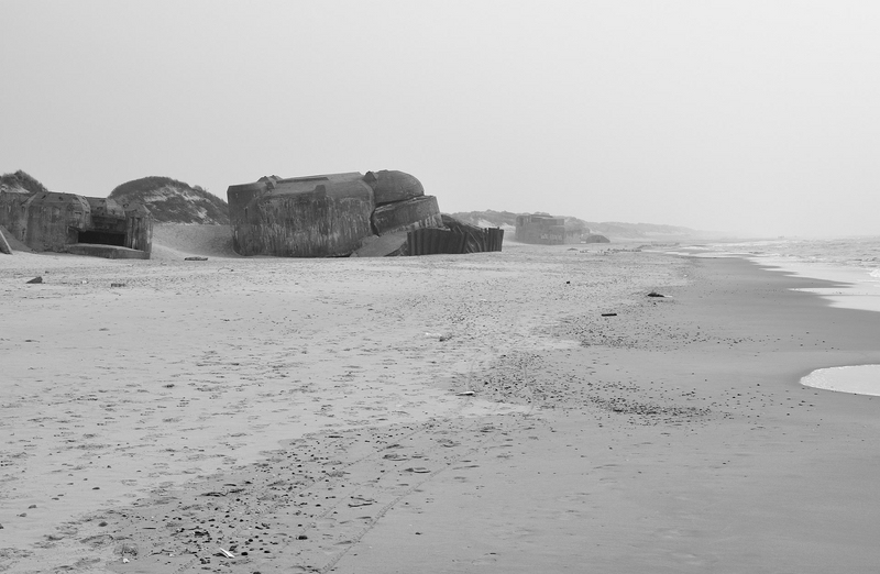 c DSC 2798