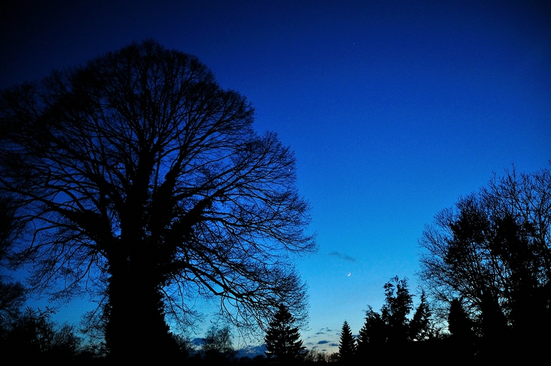 c DSC 3935 173