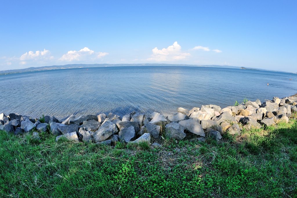 c DSC 7875 143