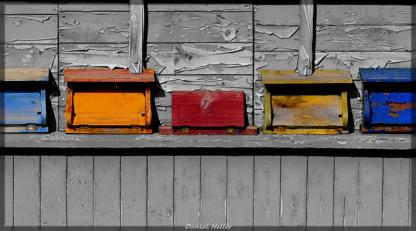 c DSC0074 Kopie