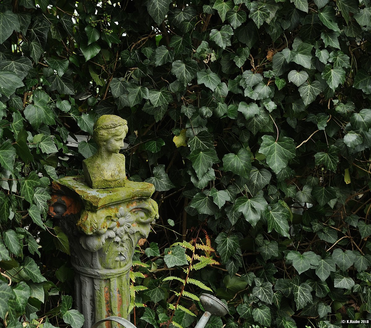 (c)K.R. 540DSC 8180 1 01 01
