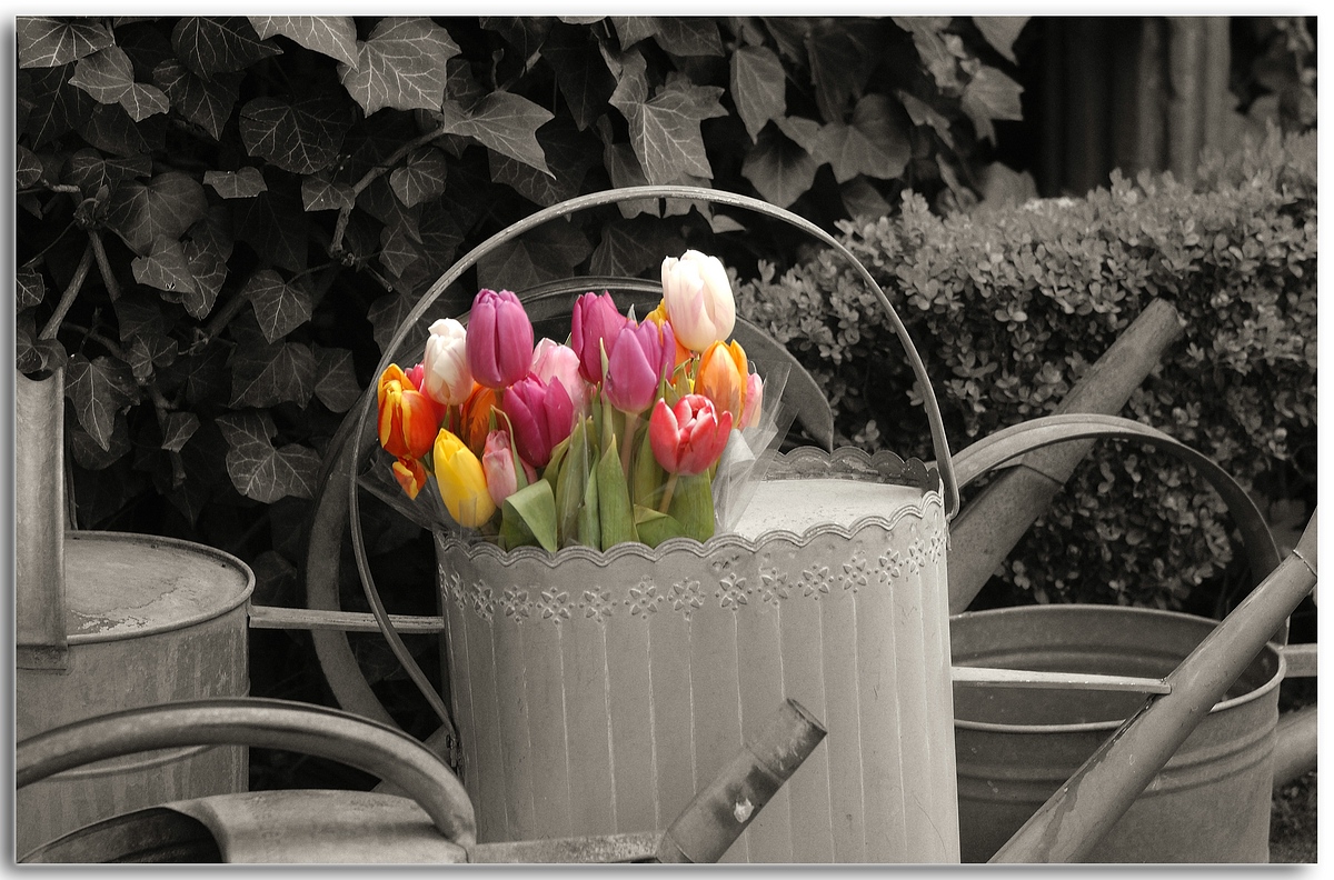 (C)K.R. DSC 0147 2
